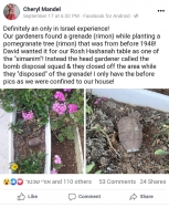 הפוסט שפרסמה שרול בפייסבוק לאחר מציאת הרימון.