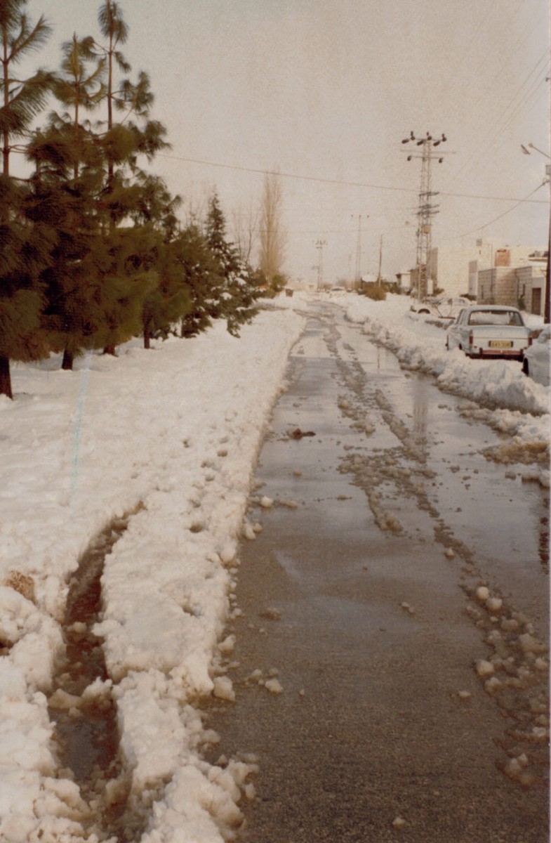 שלג ברחוב השיירות 1