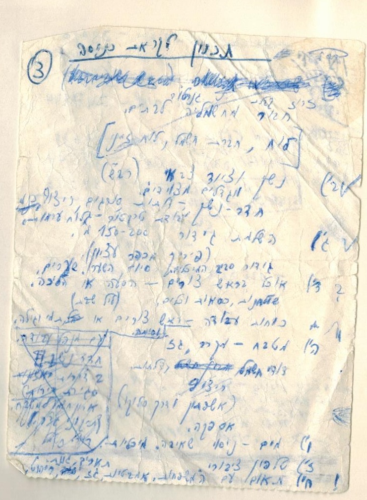 התארגנות לעליה - יואל בן נון 1