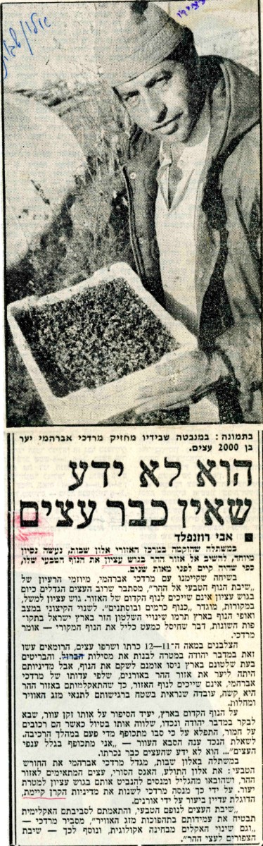 מעריב