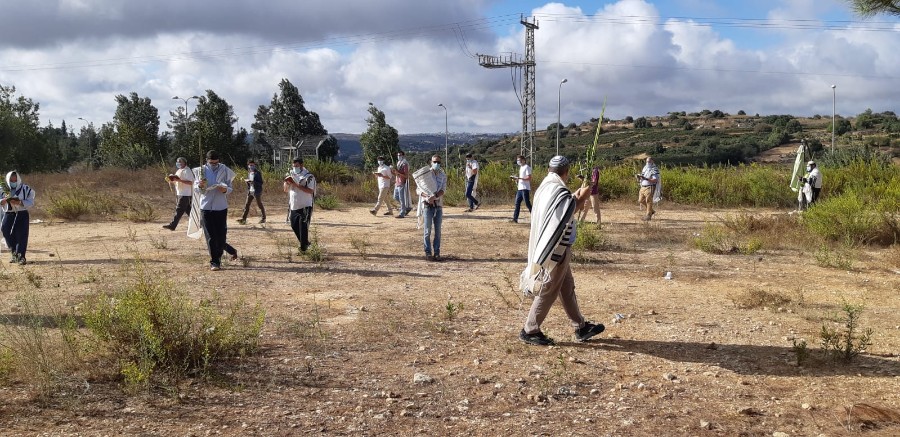 הושענות במניין "מה טובו אהליך"