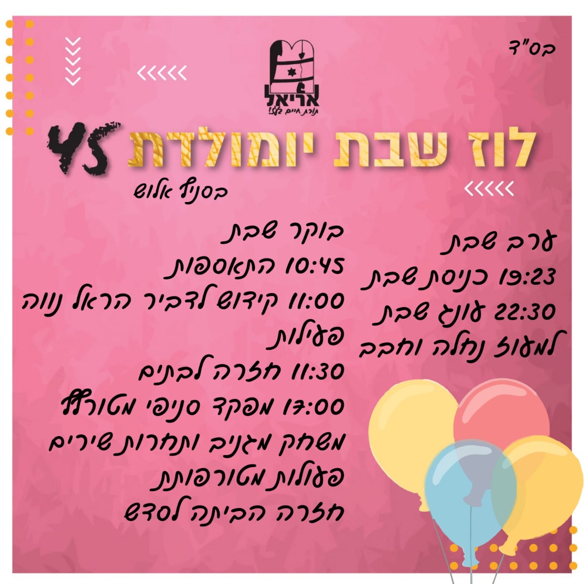 שבת תנועה - אריאל בנות