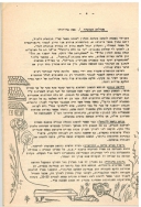 בדי אלון 13 תשלו עמוד 4 001