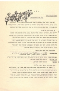 בדי אלון 15 עמ 6 001