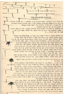 בדי אלון 18 עמ 5 001