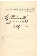 בדי אלון 18 עמ 4 001