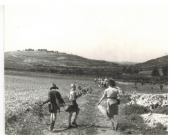 טיול ילדי היישוב