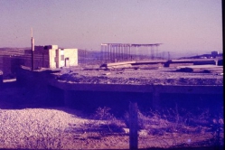 1978 - בית הכנסת המרכזי בבנייה 1