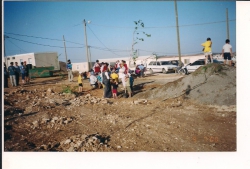 נטיעות בגבעת החי"ש