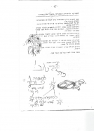 עלון 151_0010