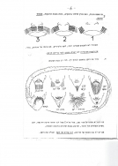 עלון 151_0006