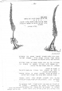 Scan_0015