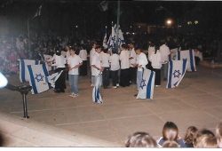 דגלנות