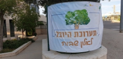 תערוכת היובל - תערוכת אמני אלון שבות