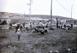 27 נטיעות טו בשבט בכניסה לישוב