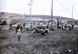 נטיעות ט"ו בשבט בכניסה לישוב - שנות השבעים.