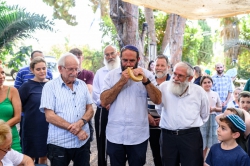 תמונות ממפגש המשפחות