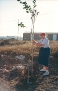 מרים מאיר נוטעת בגבעת החי"ש