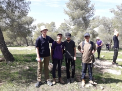 נטיעות בנים