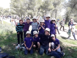 נטיעות בנים