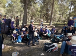 נטיעות בנים