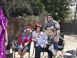 העדלידע היישובית