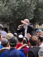 העדלידע היישובית